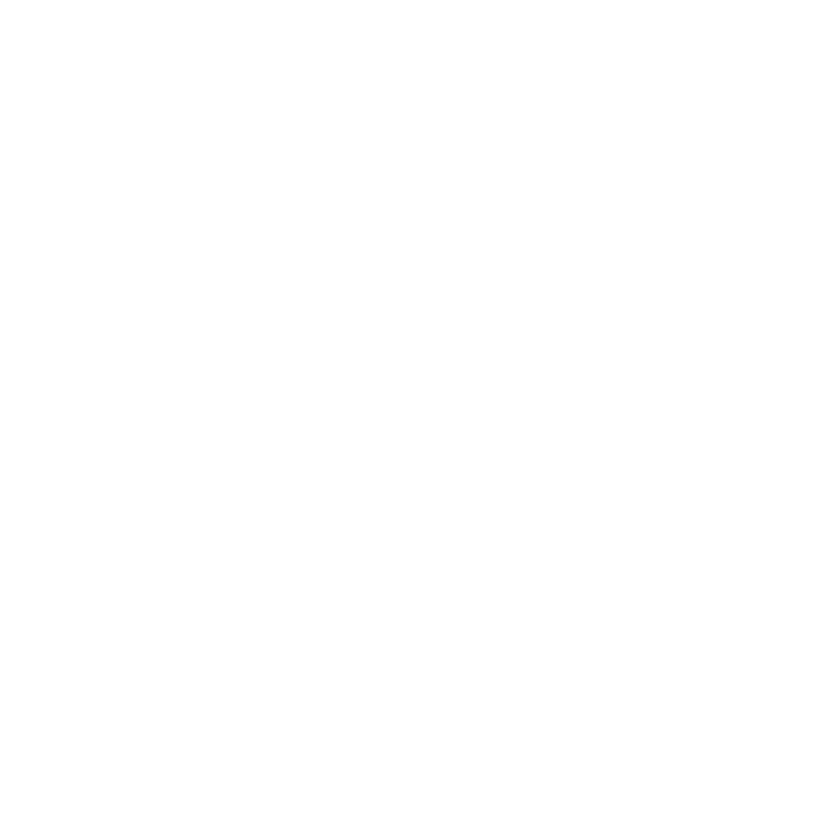 xTwins Logo